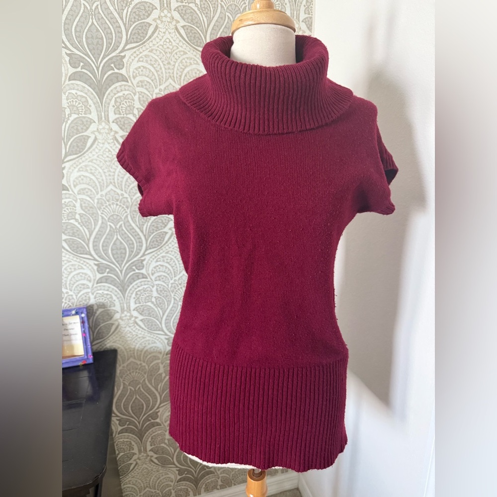 Link Maroon Cowl Neck Sweater